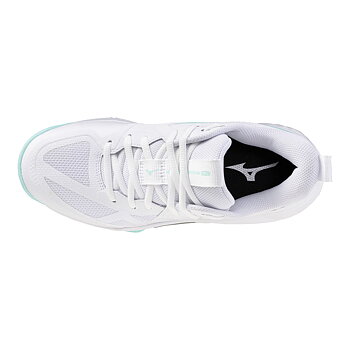 Mizuno Wave Momentum Pro W Inomhusskor