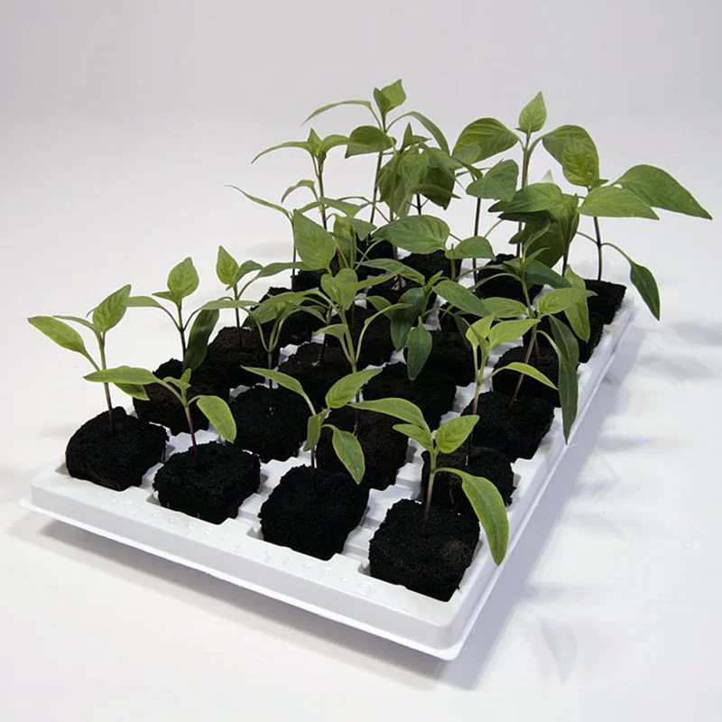 Root Riot odlingsbricka med 24st kuber - 2