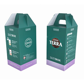 Canna Easy Box Terra