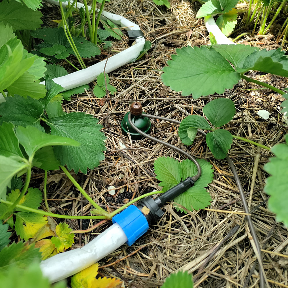 BluSoak till 3mm slangkoppling - 2