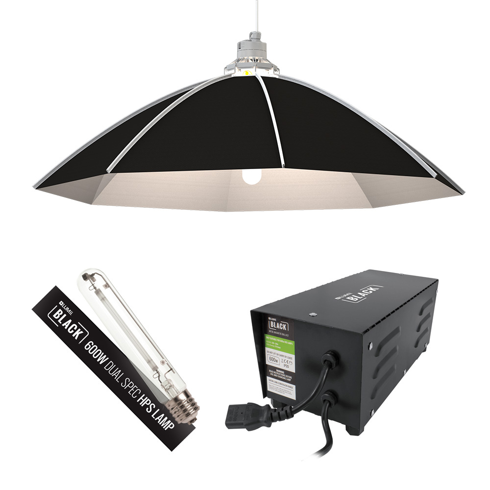 Lumii Black 600W Bas Daisy Kit