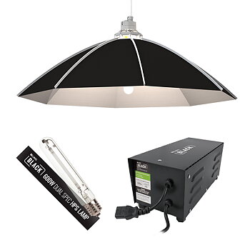 Lumii Black 600W Bas Daisy Kit