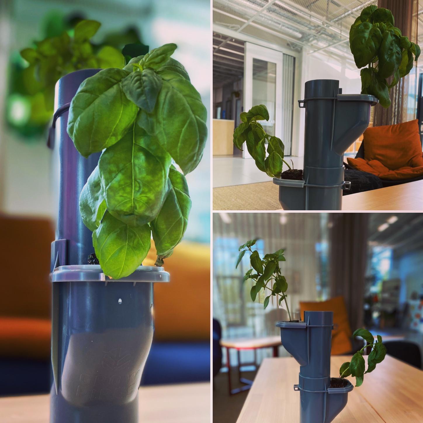 Grow Pipes Modul med lock - 4