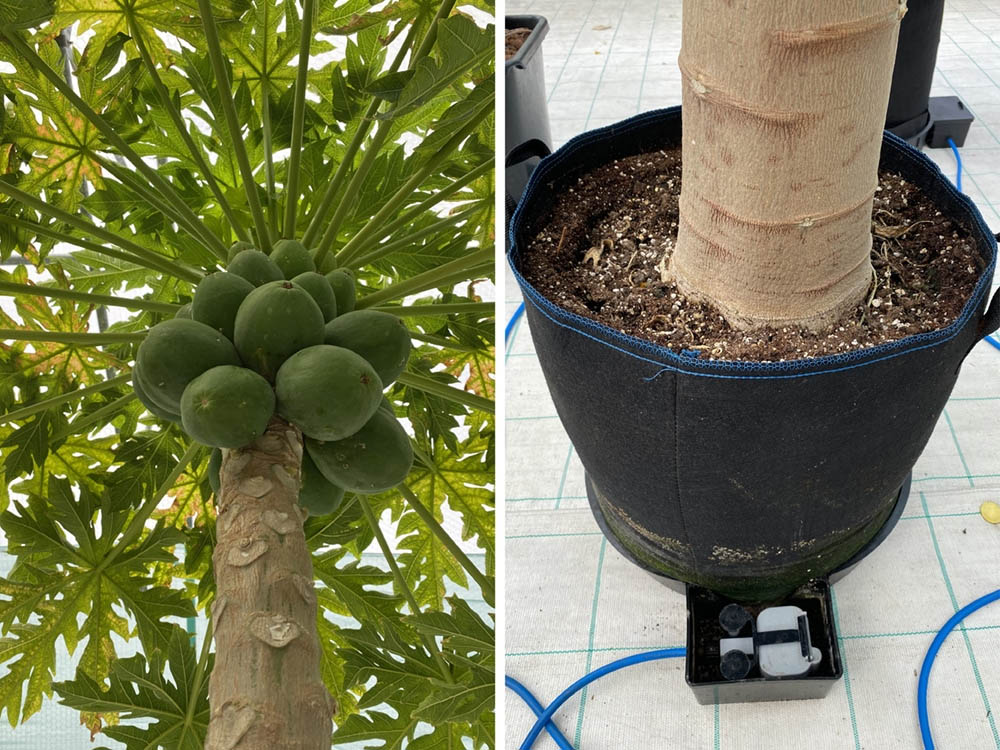 Autopot FlexiPot XL 24 Pot System - 4