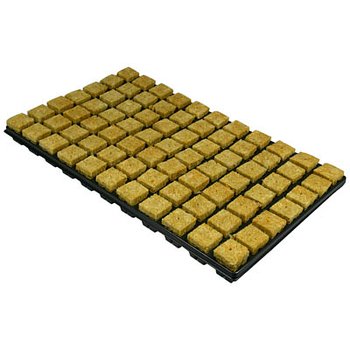 Rockwool odlingskubsbricka SBS Large 35 x 35 x 40mm 