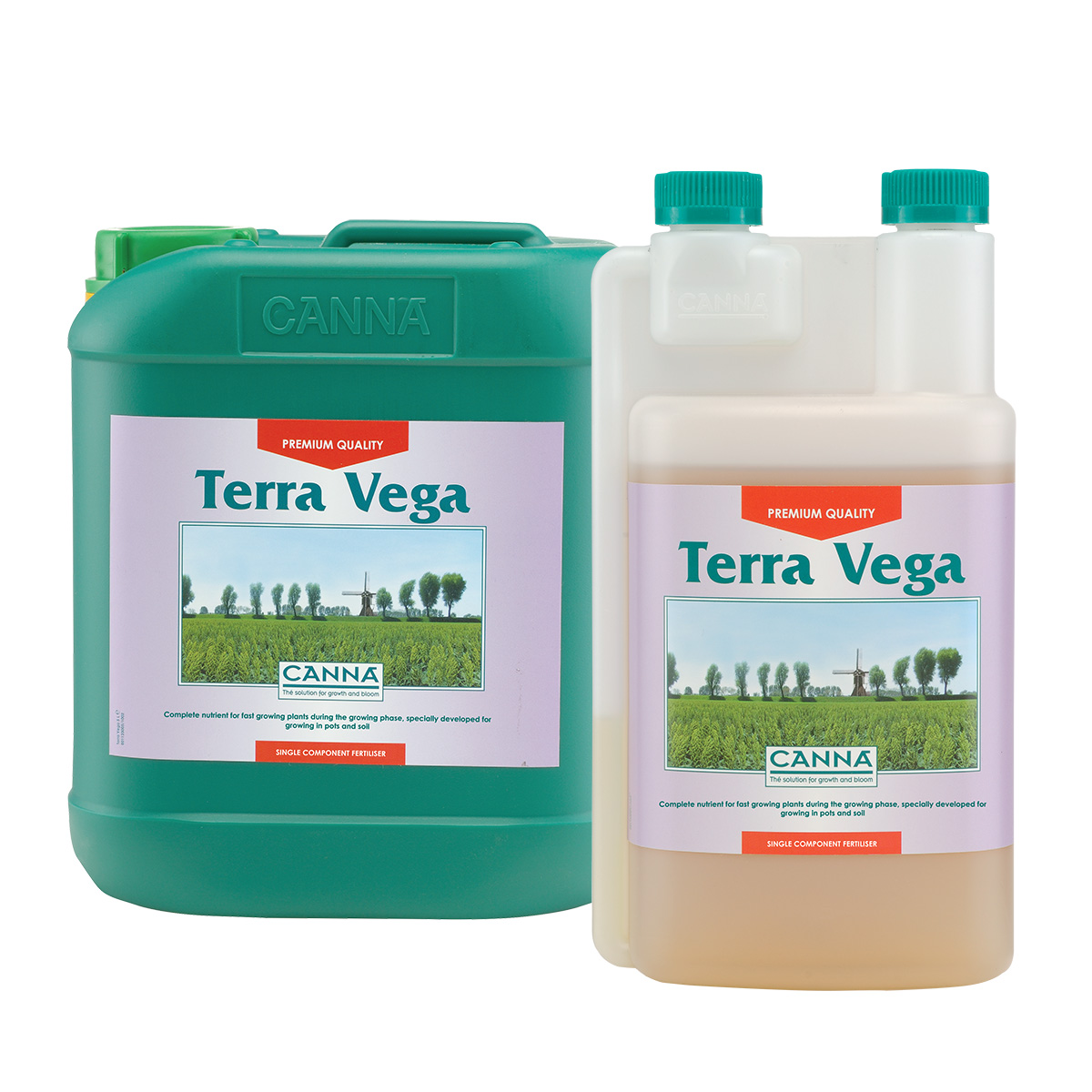 Canna Terra Vega