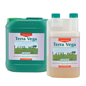 Canna Terra Vega