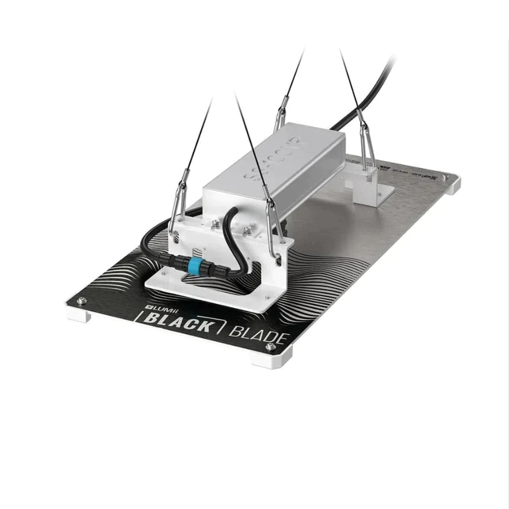Lumii black blade 100W LED 6500K växtlampa - vegetativ tillväxt