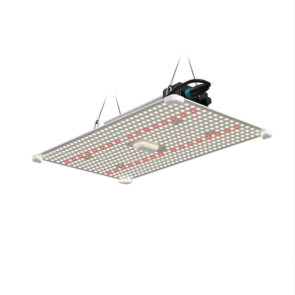 Lumii black blade 200W LED - fullspektrum - 5