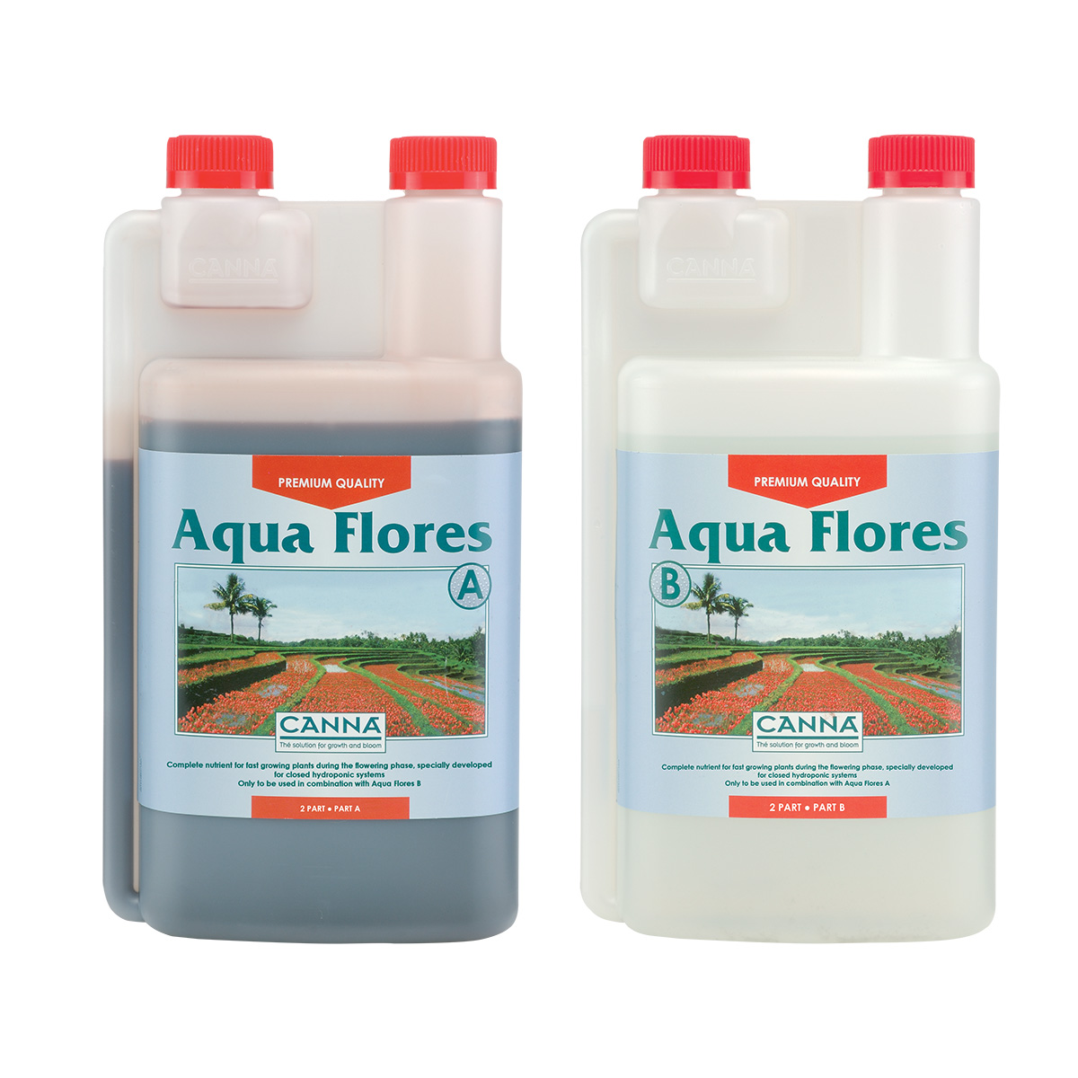 Canna Aqua Flores A & B