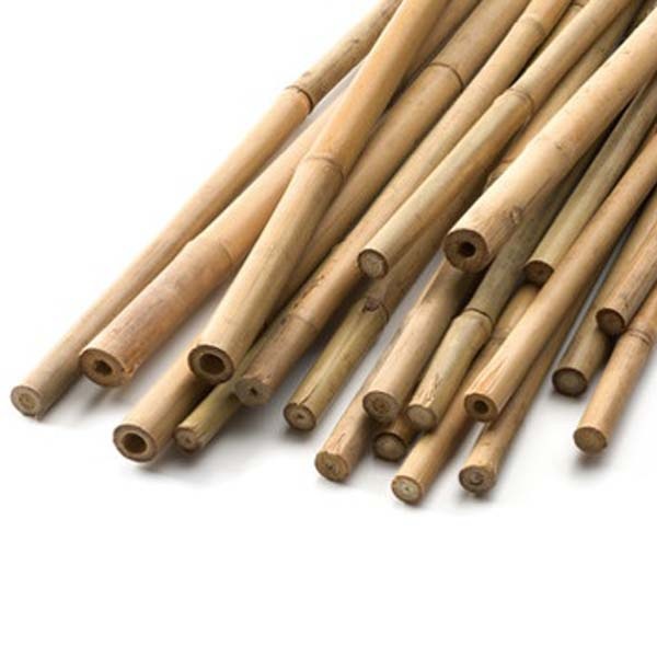 Bambupinnar för växter, trädgård och balkong -  90 cm, 25-pack