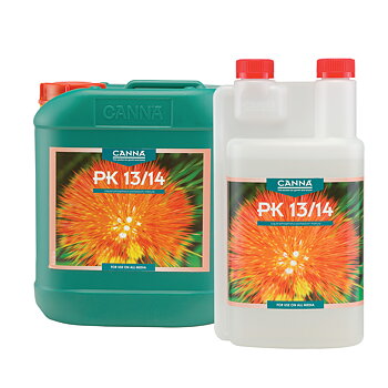 Canna Pk 13-14