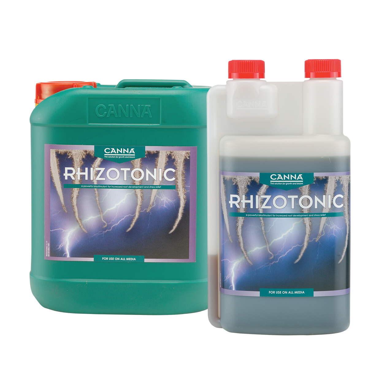 Canna Rhizotonic
