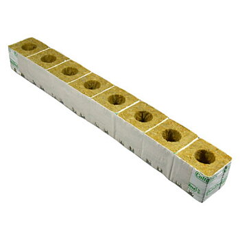 Rockwool odlingskub large hole 75 x 75 x 65mm