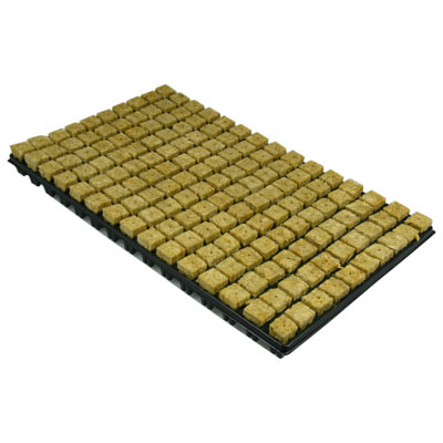 Rockwool odlingskubsbricka SBS Small 25 x 25 x 40mm