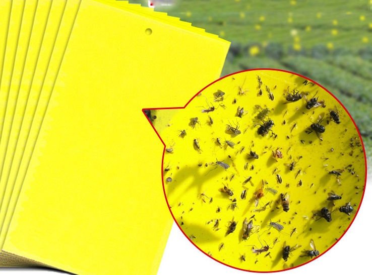 Guard'n'Aid Insect Catcher - 2