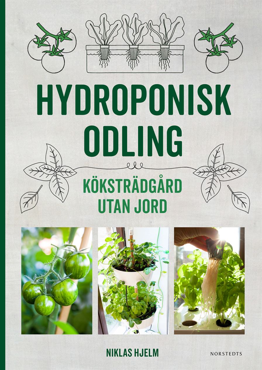 Hydroponisk odling- Köksträdgård utan jord