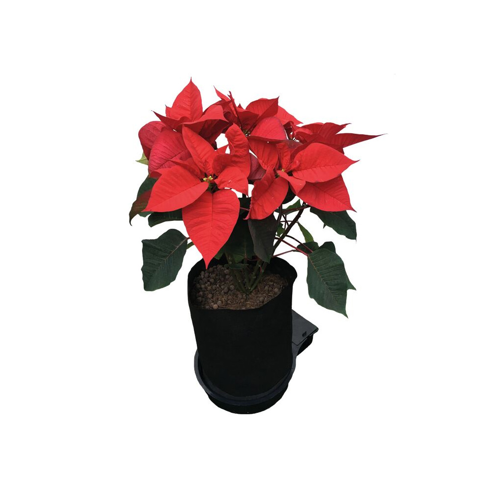 Autopot FlexiPot Module - 4