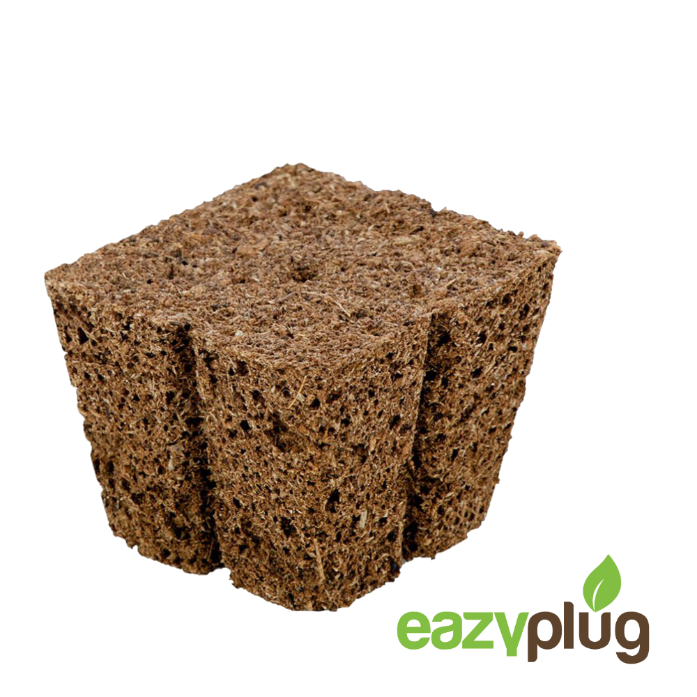 Eazy Plug organic odlingskuber 3,5cm x 3,5cm 50-pack - 2