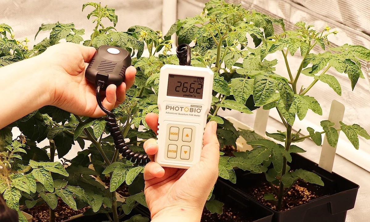 Varför varje odlare behöver en PAR-mätare Maximera LED-effektiviteten och din odling Läs mer