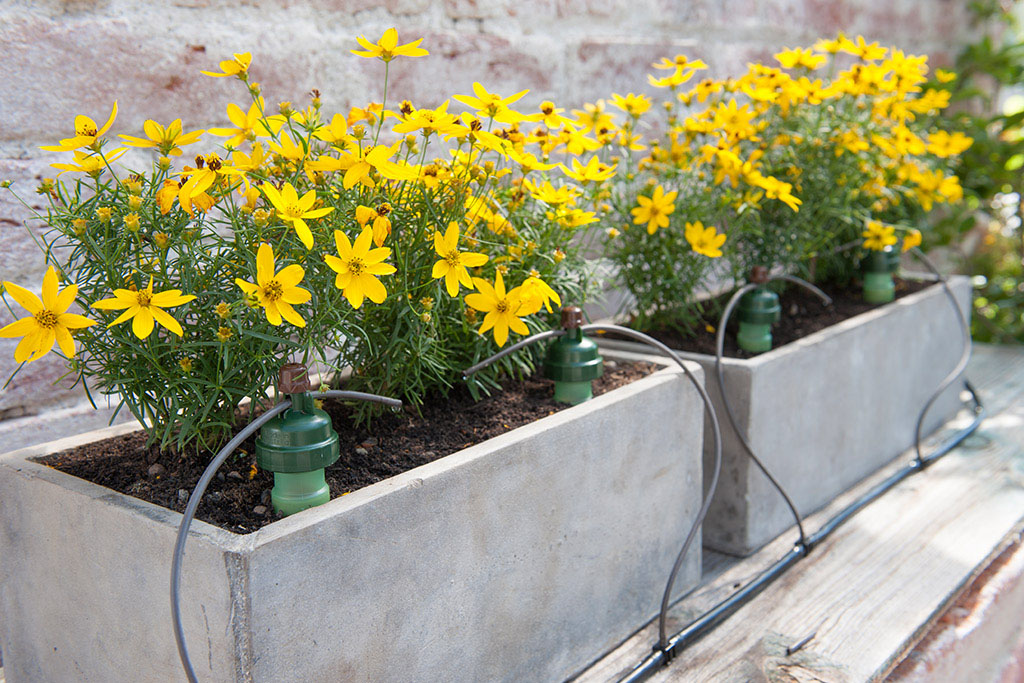 Blumat bevattnings-system  