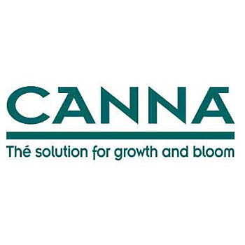 Canna