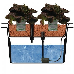 Ebb & Flod kopplingar