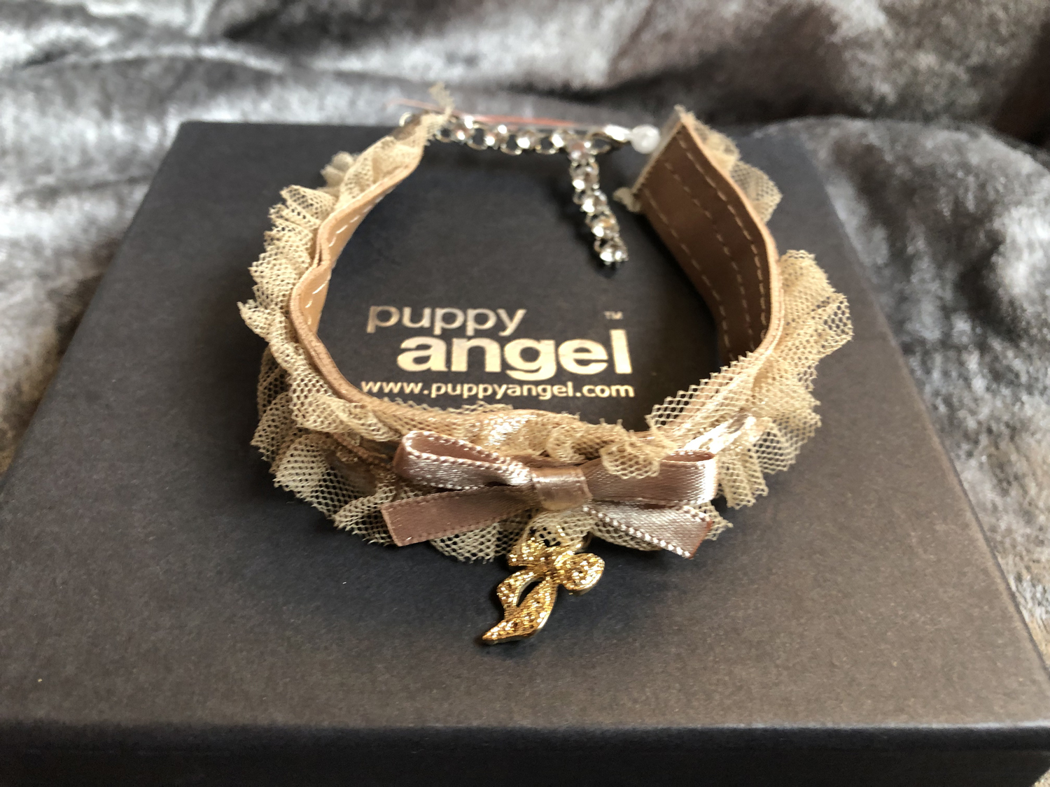 Puppy Angel Velvet koiran koru M - beige