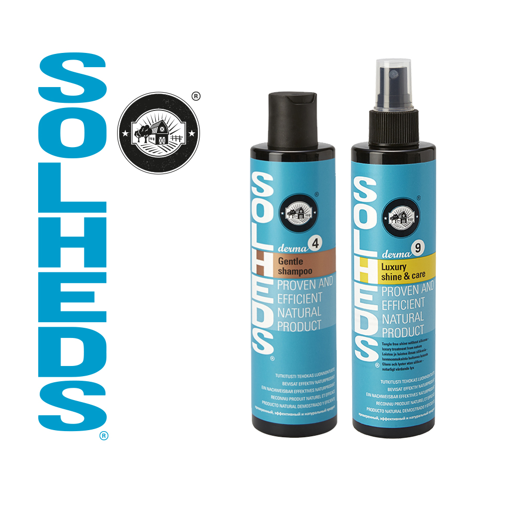 Derma 4 shampo 250 ml ja  Derma 9 Luxury Shine & care spray 250ml - paketti - 2