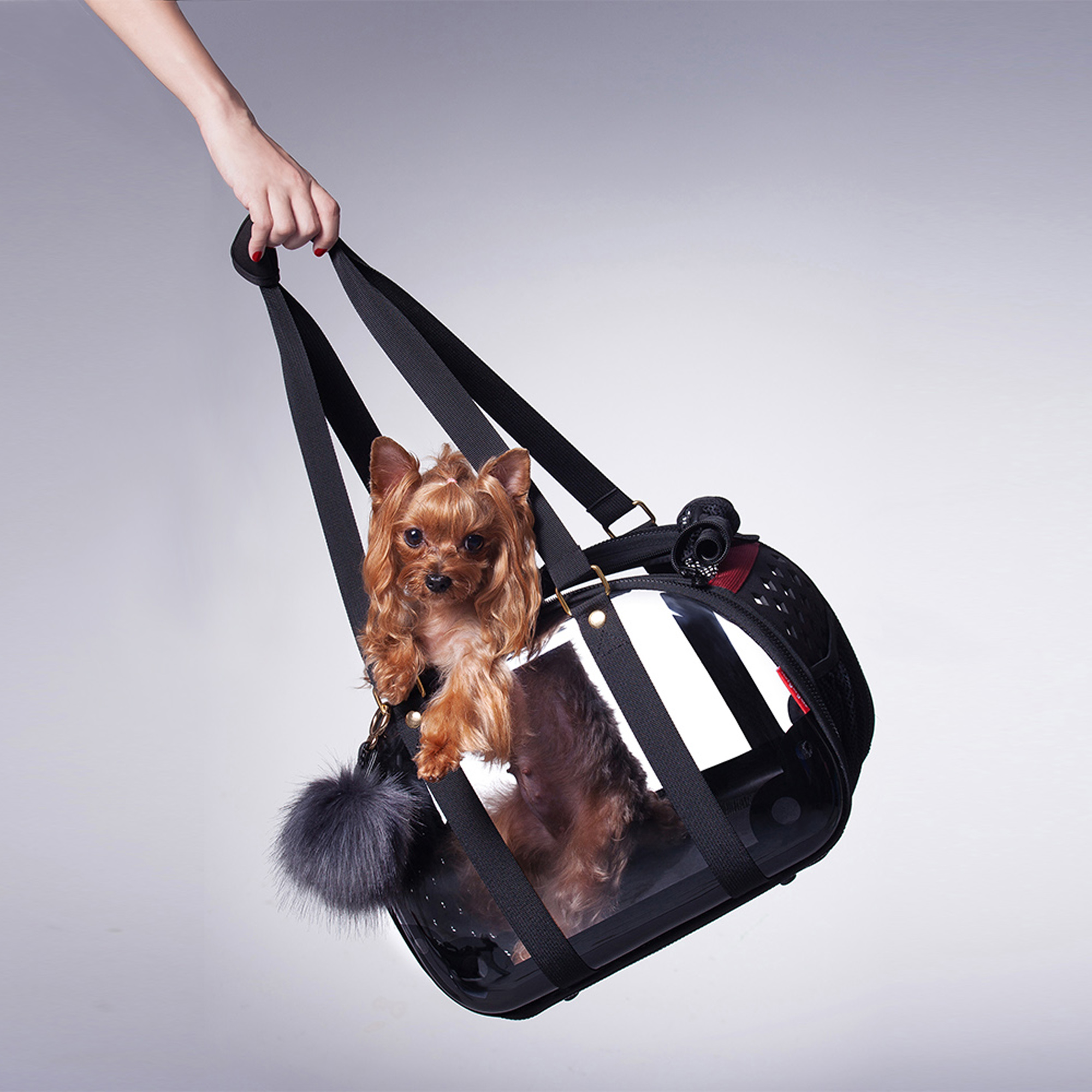 Pet Hardshell Travel Carrier – Transparent Black - 8