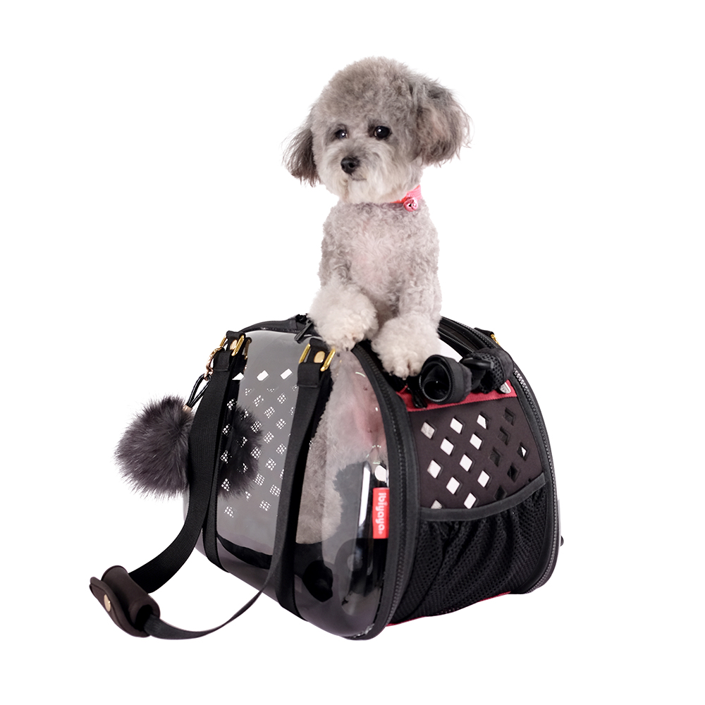 Pet Hardshell Travel Carrier – Transparent Black - 4