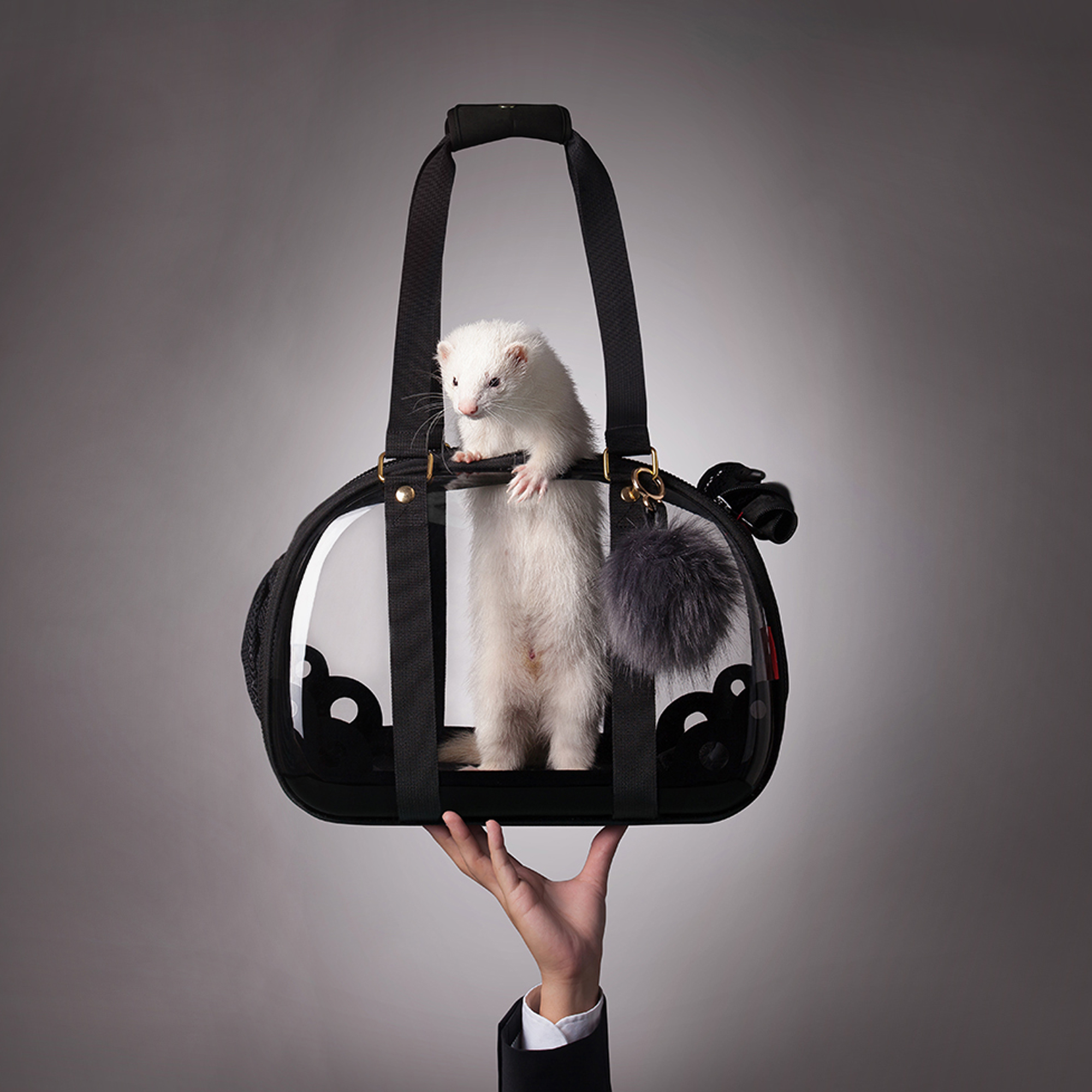 Pet Hardshell Travel Carrier – Transparent Black