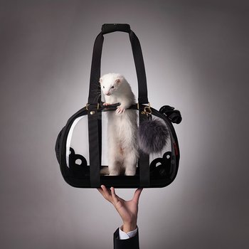 Pet Hardshell Travel Carrier – Transparent Black