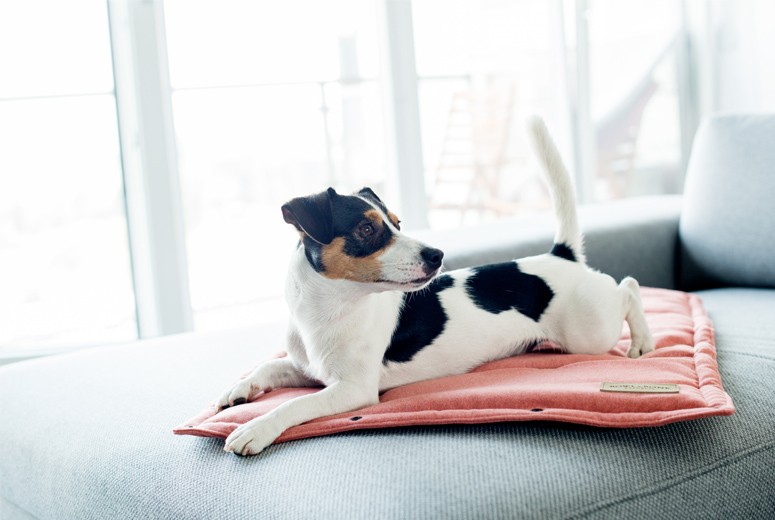 B&B Dog Mat LOFT Coral - Travel Mat - 6