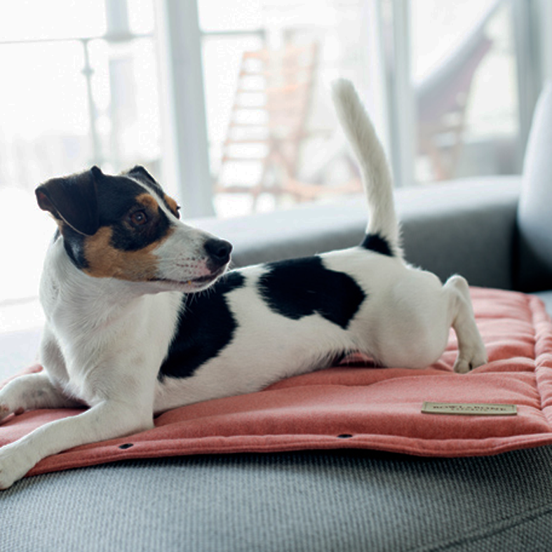B&B Dog Mat LOFT Coral - Travel Mat - 2