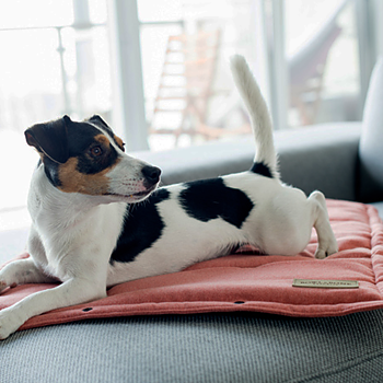 B&B Hundmatta LOFT Coral - Resematta