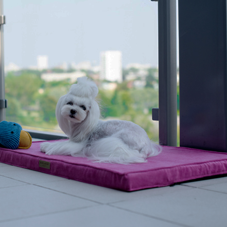 B&B Hundmatta CHILL Rose - 2