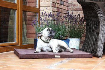 B&B makuualusta CHILL Chokolate