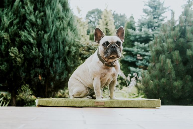 B&B Hundmatta CHILL Olive - S - 2