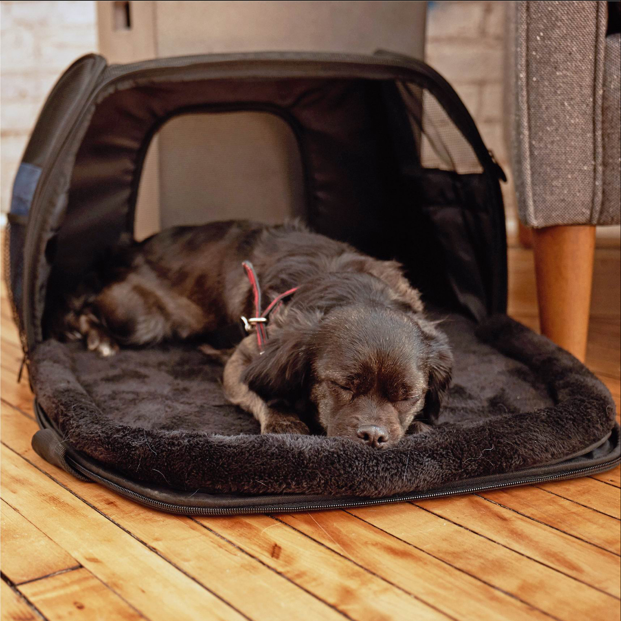 InnoPet® Carry Me Sleeper - Grey - 7