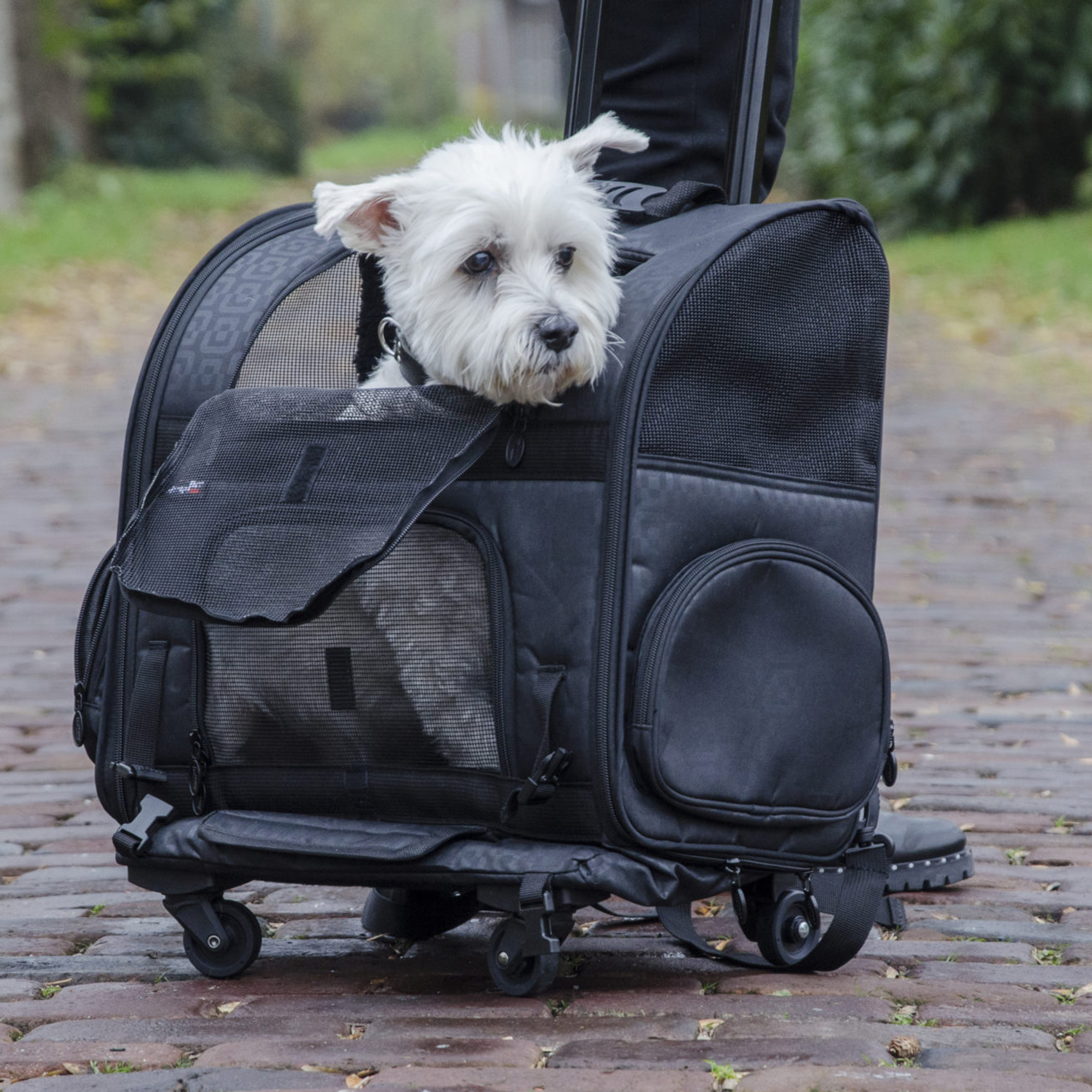 Pet roller clearance carrier