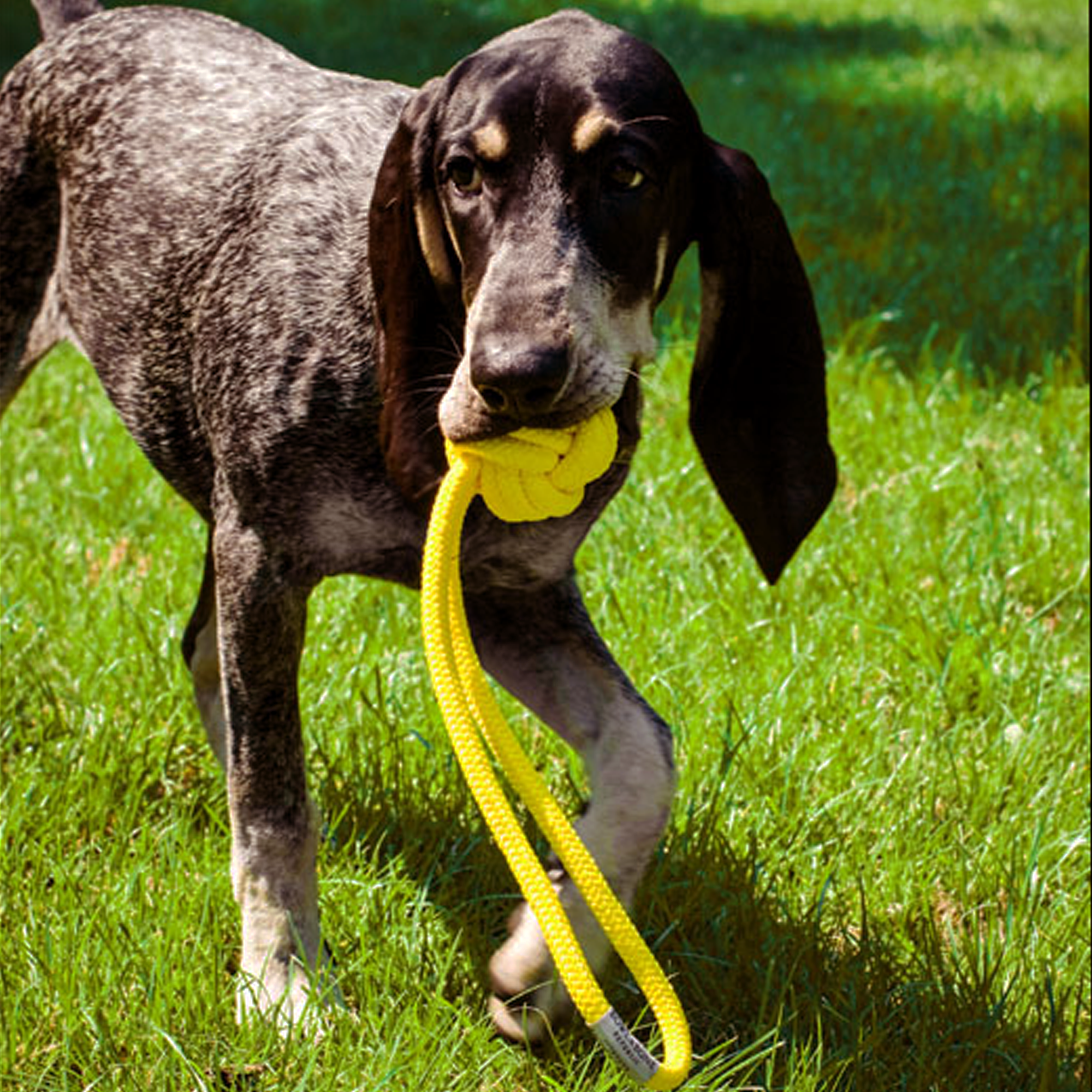 B&B Dog Toy BULLET - Yellow - 3