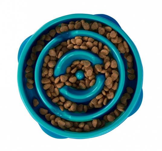 Outward Fun Feeder - Blue