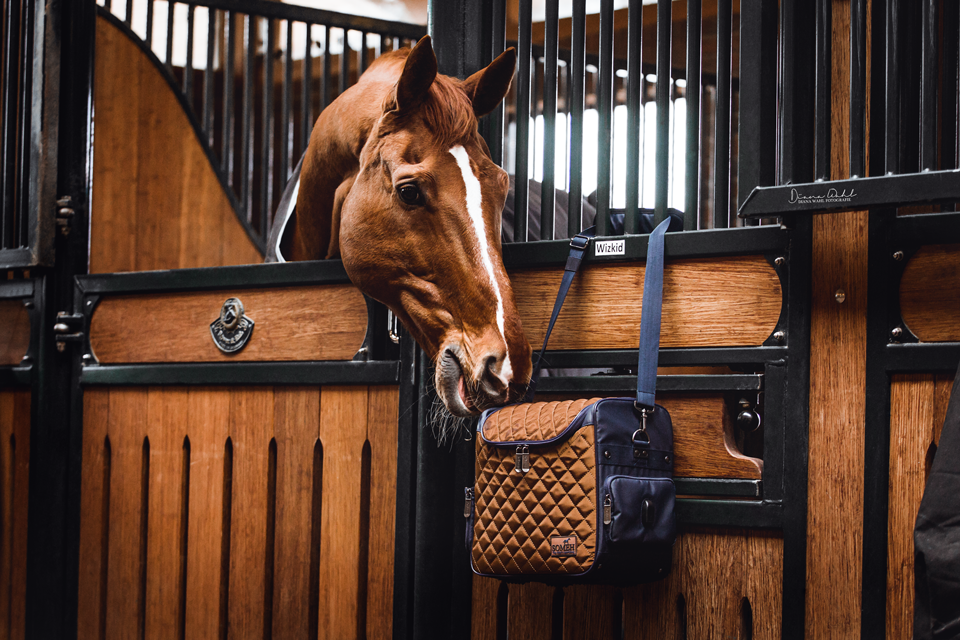 SOMÈH Grooming Bag  - Connect - Grace Gold - 18