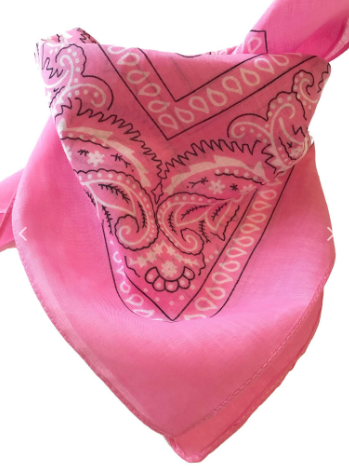 House of Horses Bandana - vaaleanpunainen - 2