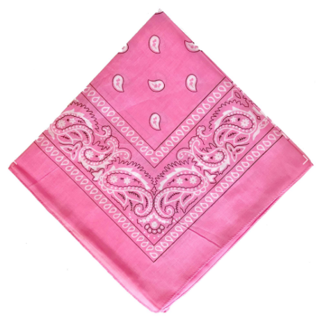 House of Horses Bandana - vaaleanpunainen