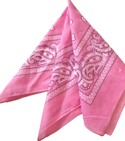 House of Horses Bandana - vaaleanpunainen - 3