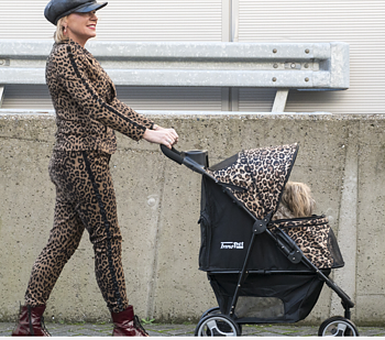 STROLLER INNOPET BUGGY ALLURE IPS-034 /CH- CHEETAH