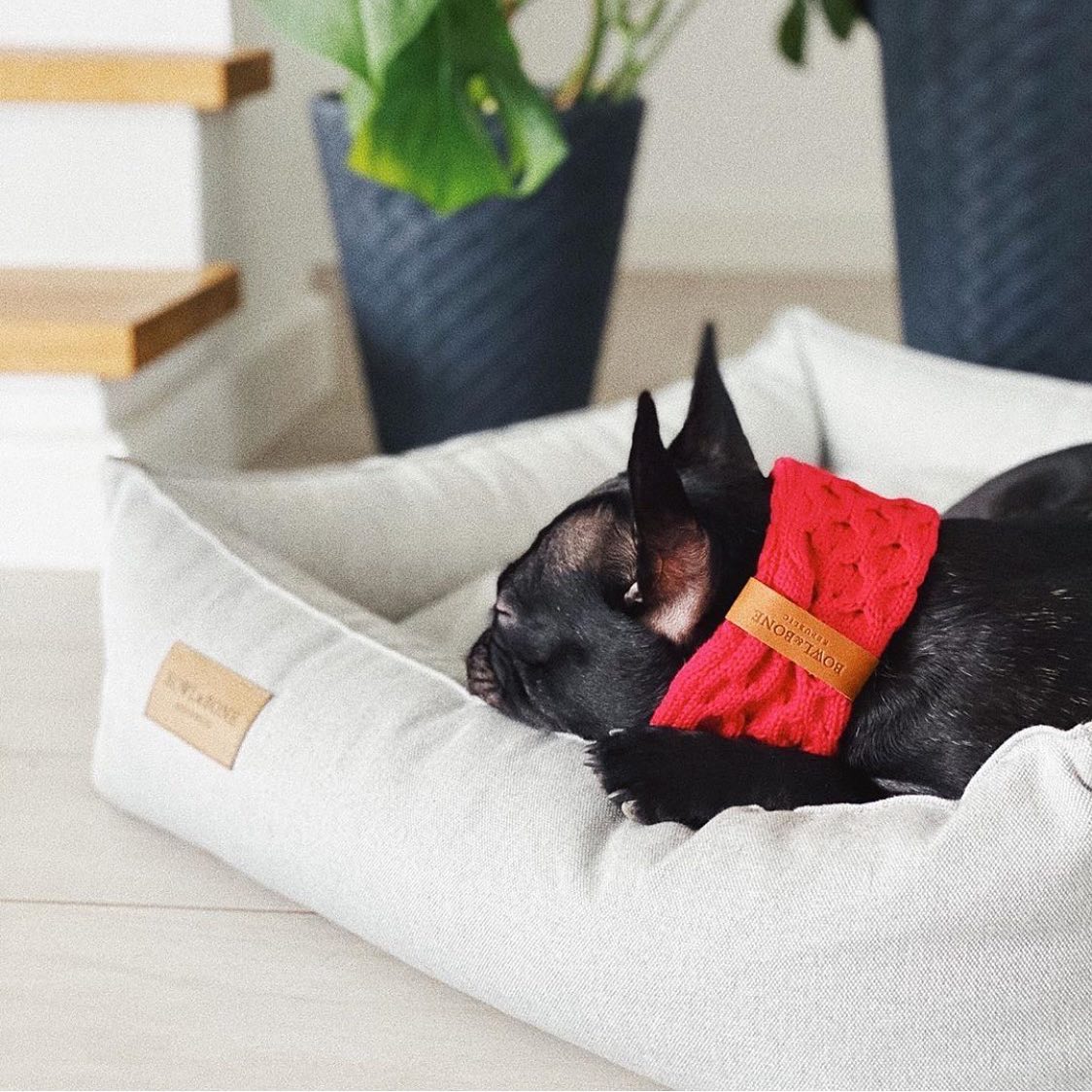 B&B dog chimney scarf JOY Röd - 4
