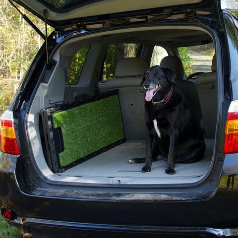InnoPet® GrassRamp  - 11